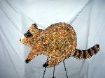 01A Raccoon