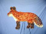 01A Red Fox