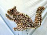 01A Squirrell