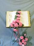 01B Silk Bible
