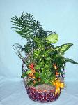 DGW04 12in Wicker Dish Garden