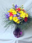 01D Spring Arrangement