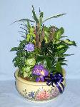 DGP07 12in Porcelain Dish Garden