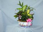 DGP11 10in Porcelain Dish Garden