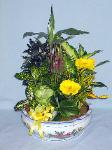 DGP12 12in Porcelain Dish Garden