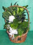 DGW14 8in Wicker Dish Garden