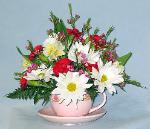 01N Anniversary Tea Cup Arrangement