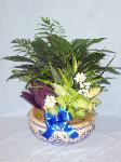 DGP15 14in Porcelain  Dish Garden