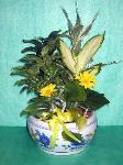 DGP16 8in Porcelain Dish Garden