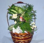 DGW18 8in Wicker Dish Garden