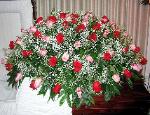 Fresh Casket Spray CSK05