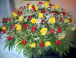 Fresh Casket Spray CSK38