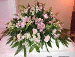 Fresh Casket Spray CSK40